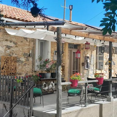 Sur La Bonnefooi Bed and Breakfast Prades-sur-Vernazobre Buitenkant foto