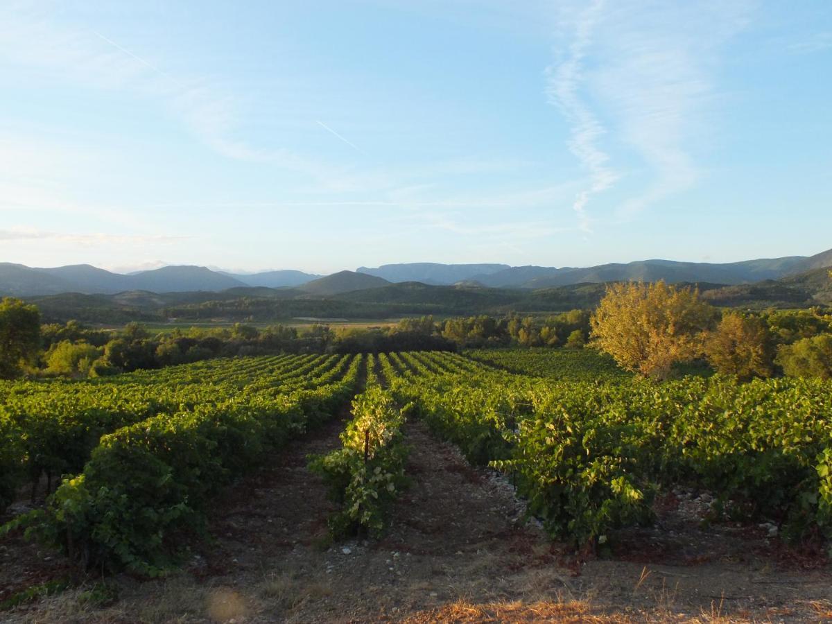 Sur La Bonnefooi Bed and Breakfast Prades-sur-Vernazobre Buitenkant foto